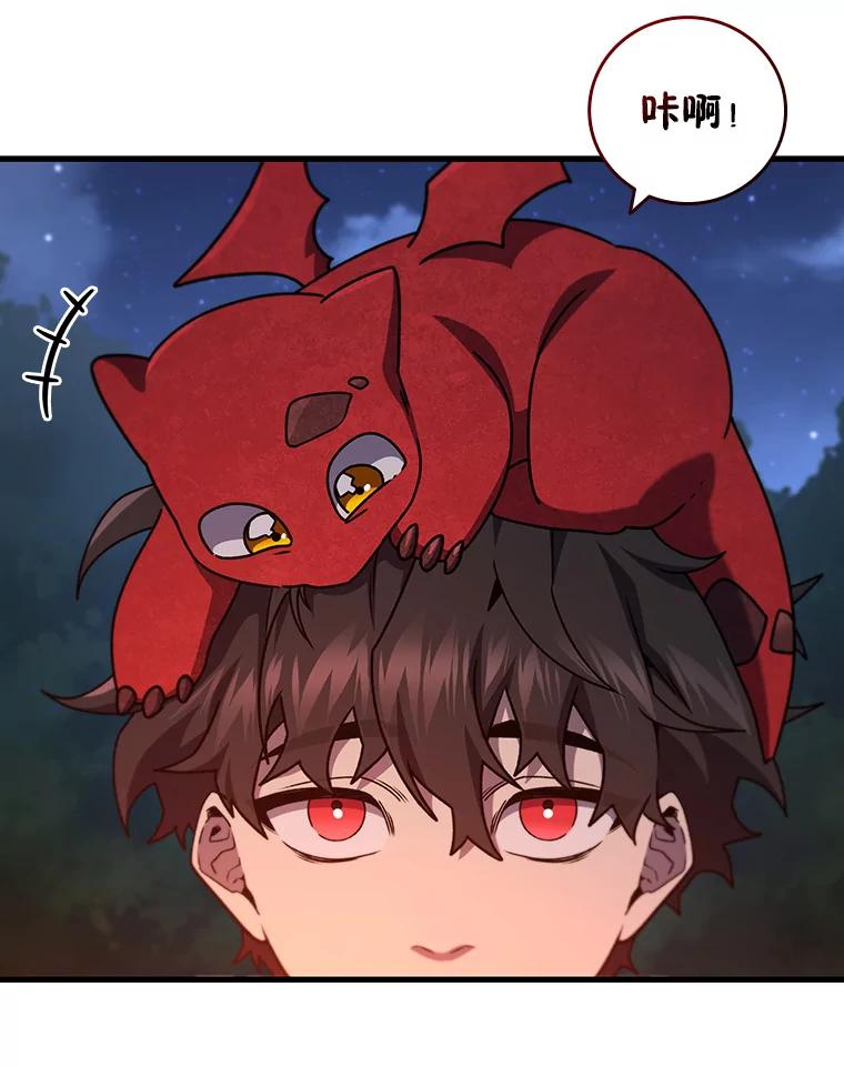《噬龙魔法师》19.与精灵缔结契约 第71页