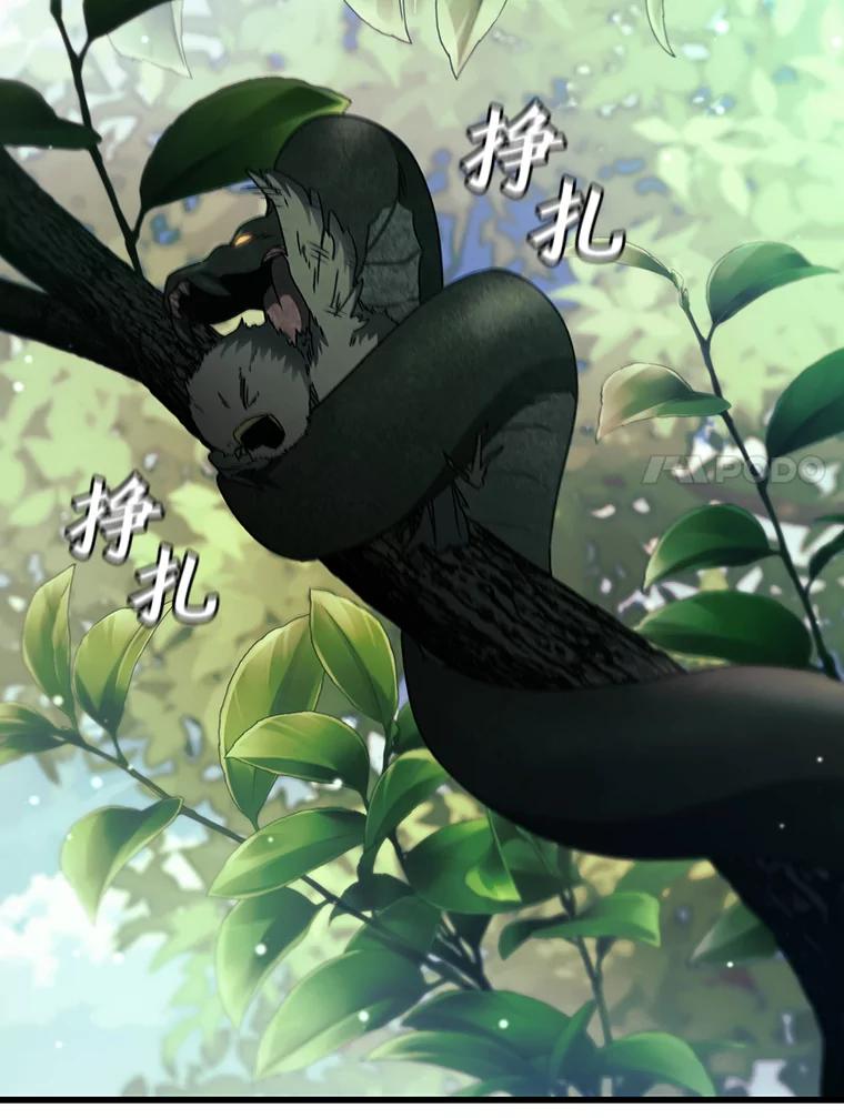 《噬龙魔法师》20.塔之选拔 第62页
