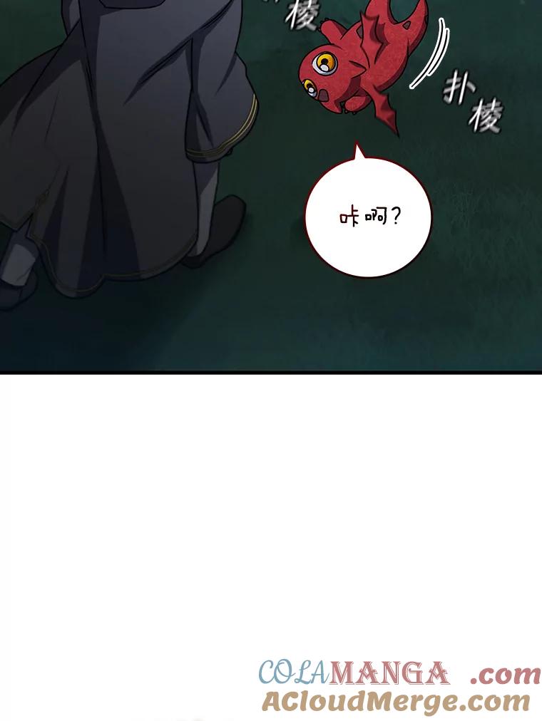 《噬龙魔法师》21.异教徒 第141页