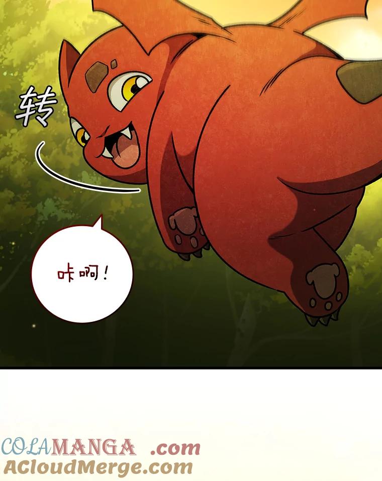 《噬龙魔法师》21.异教徒 第73页