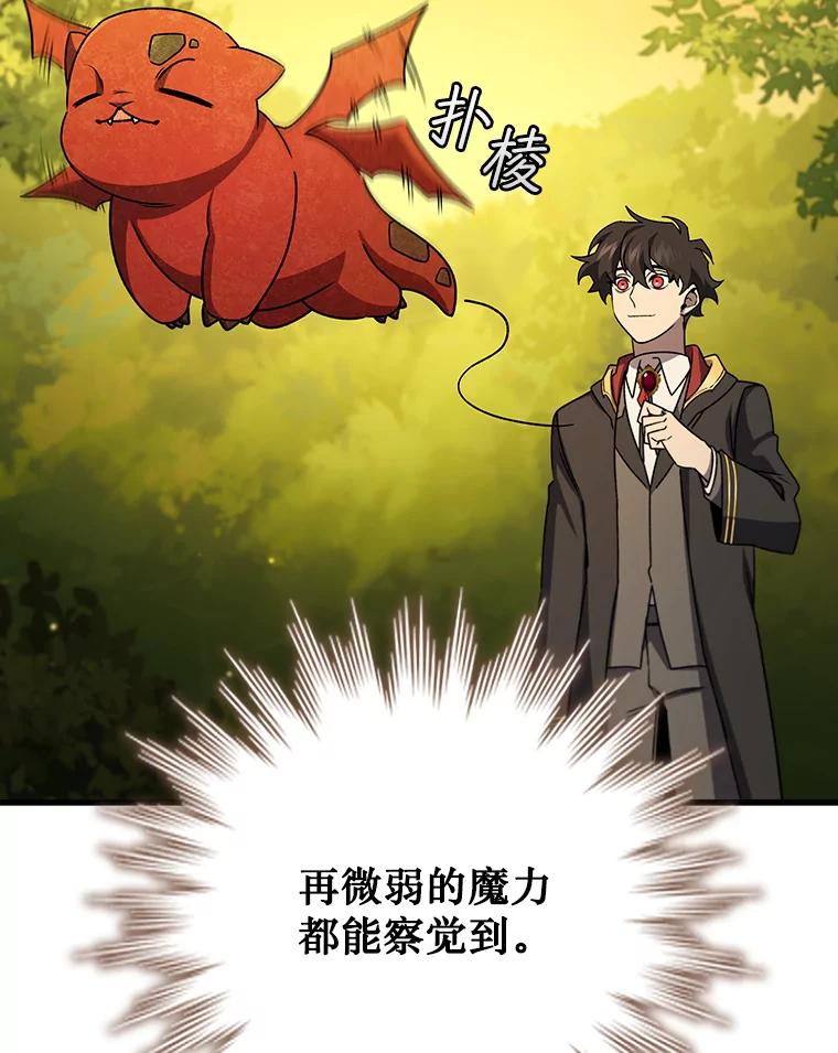《噬龙魔法师》21.异教徒 第71页