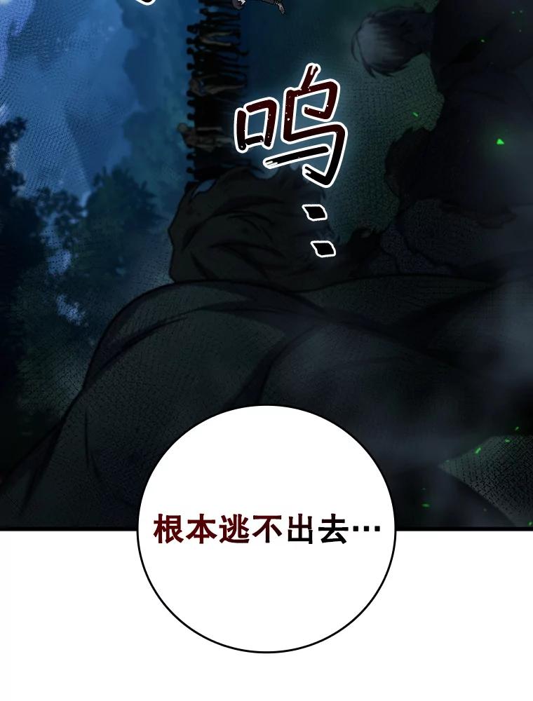 《噬龙魔法师》22.陷阱 第102页