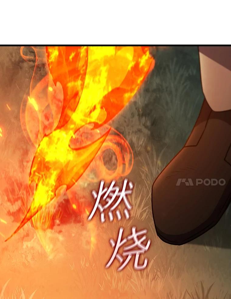 《噬龙魔法师》23.团队作战 第108页