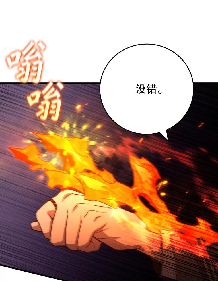 《噬龙魔法师》23.团队作战 第36页