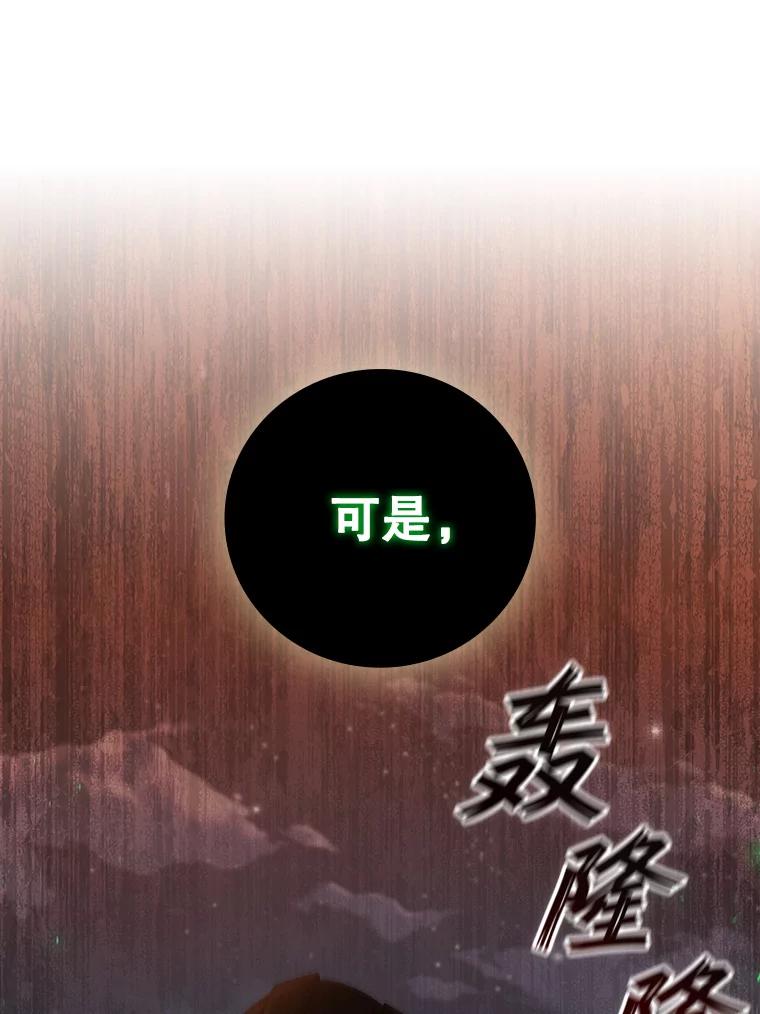 《噬龙魔法师》23.团队作战 第63页