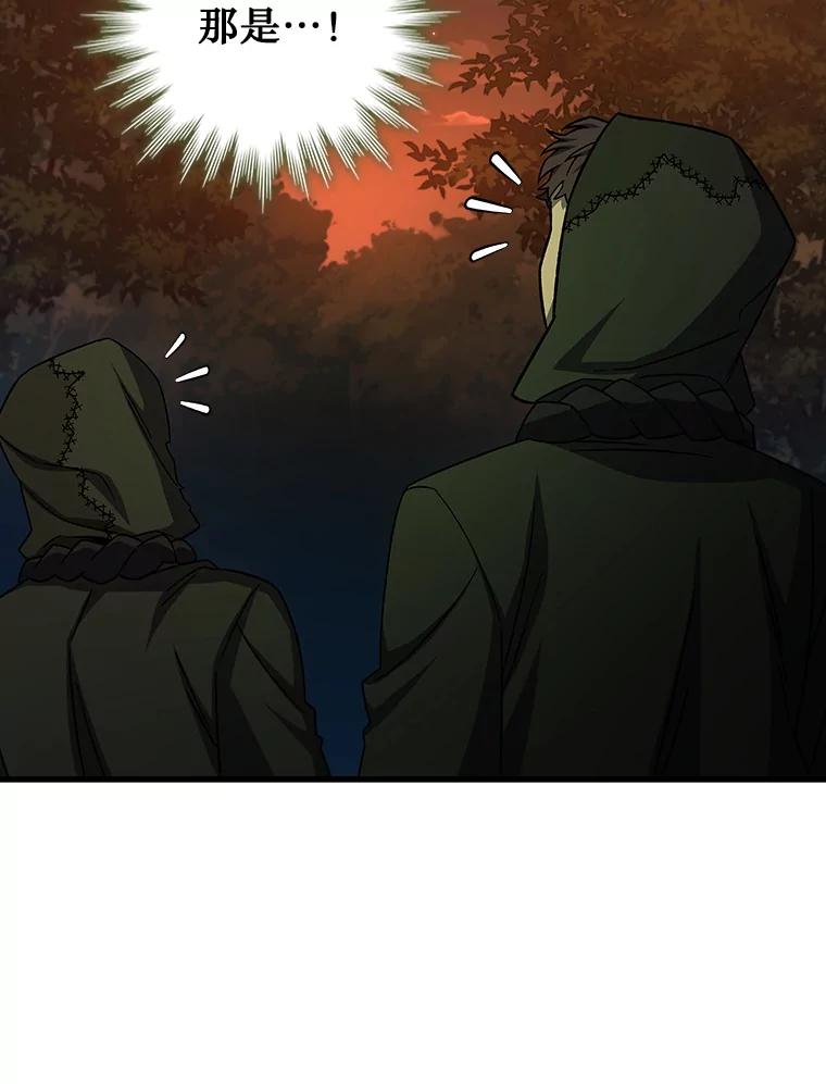 《噬龙魔法师》23.团队作战 第116页