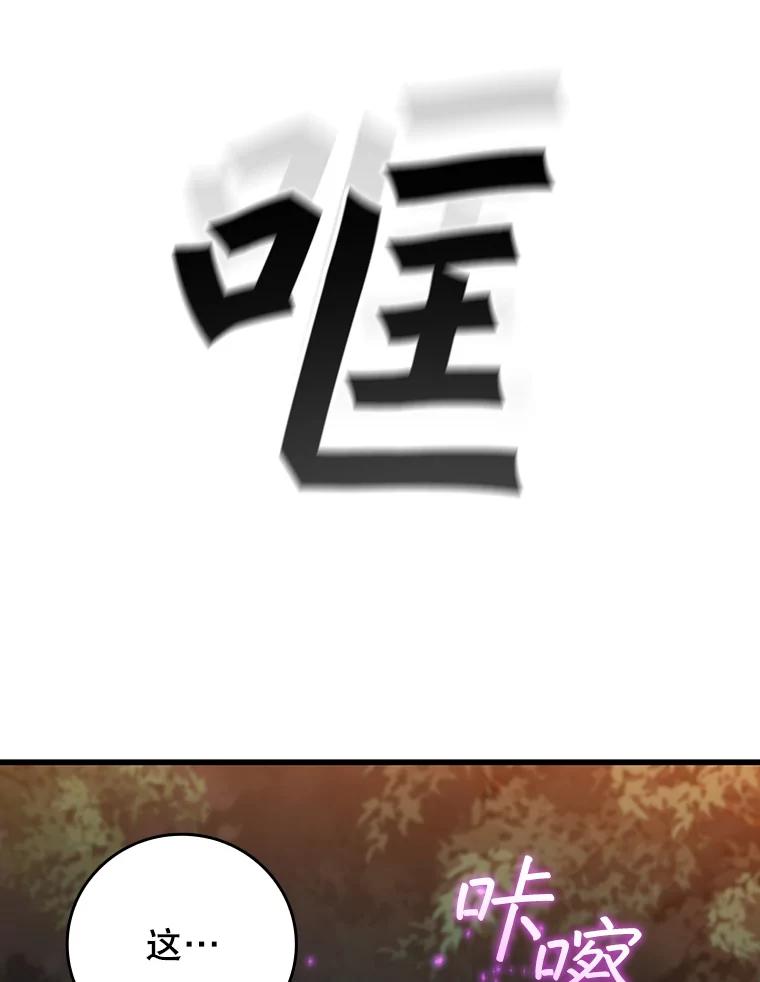《噬龙魔法师》23.团队作战 第103页