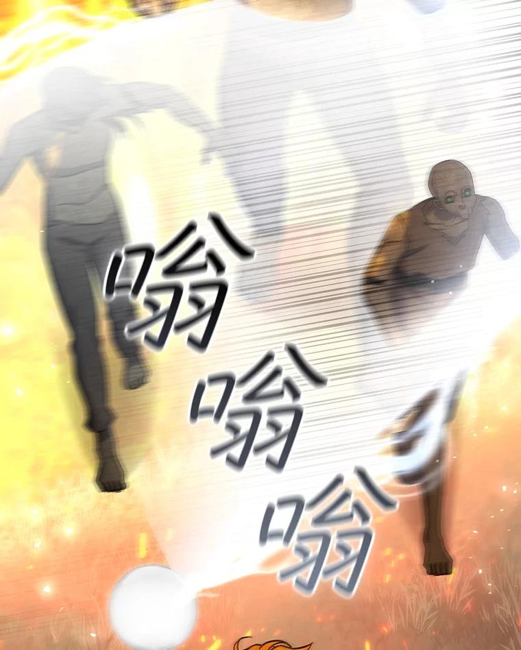 《噬龙魔法师》23.团队作战 第56页