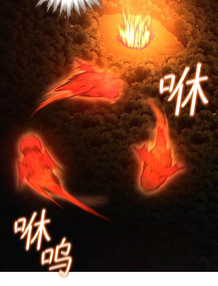《噬龙魔法师》23.团队作战 第114页
