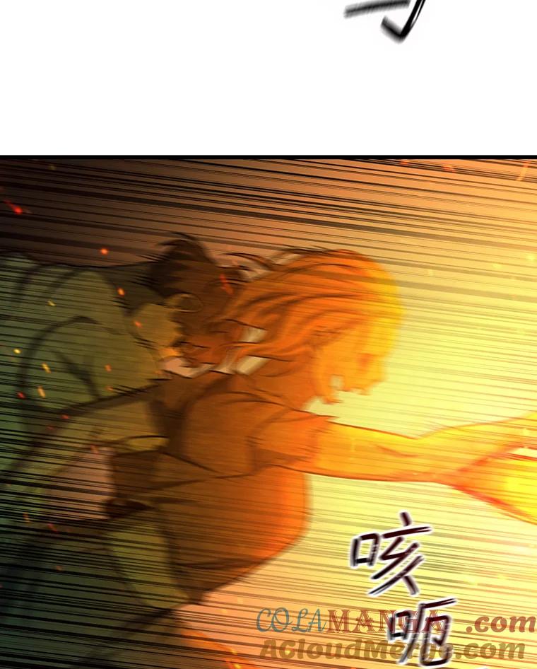 《噬龙魔法师》23.团队作战 第137页