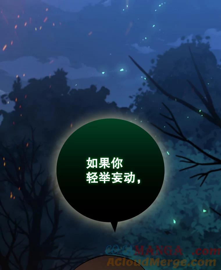 《噬龙魔法师》24.使命 第17页
