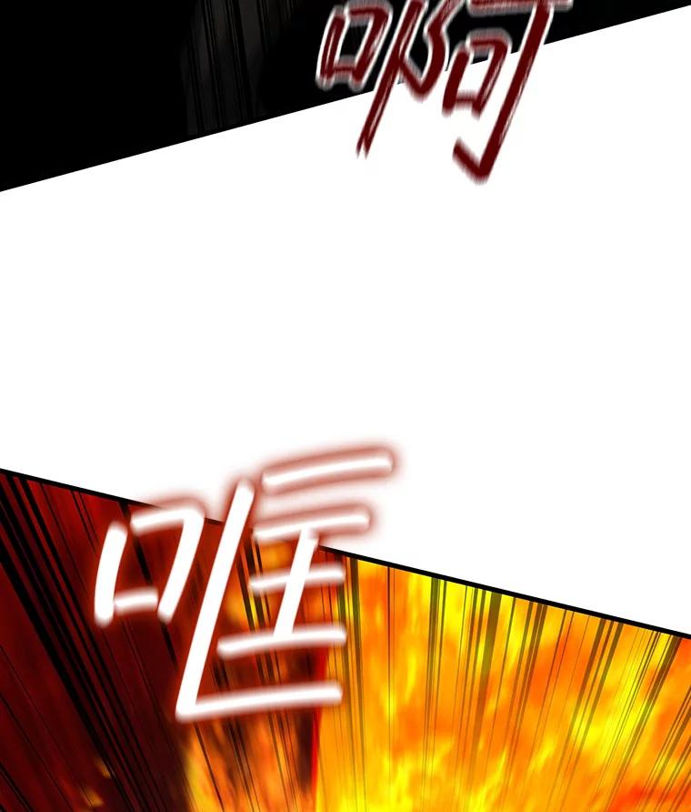 《噬龙魔法师》25.牺牲咒语 第114页