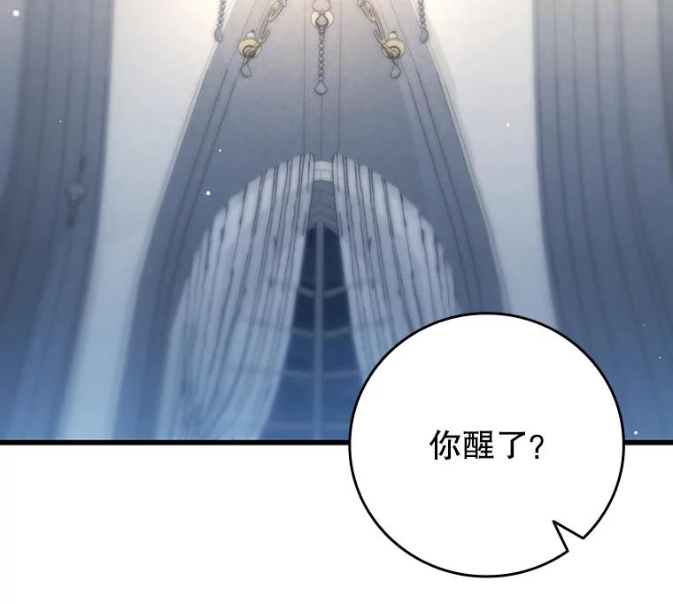 《噬龙魔法师》26.悠久的传统 第68页