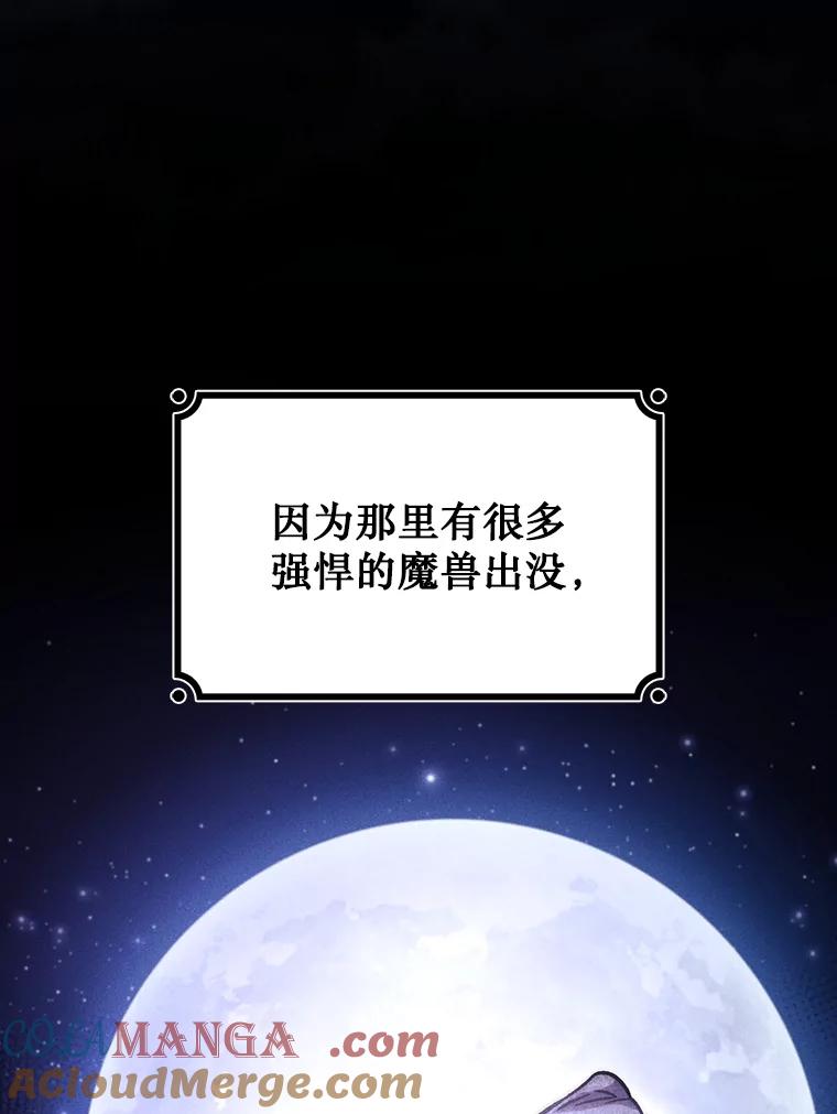 《噬龙魔法师》27.重生的原因 第85页