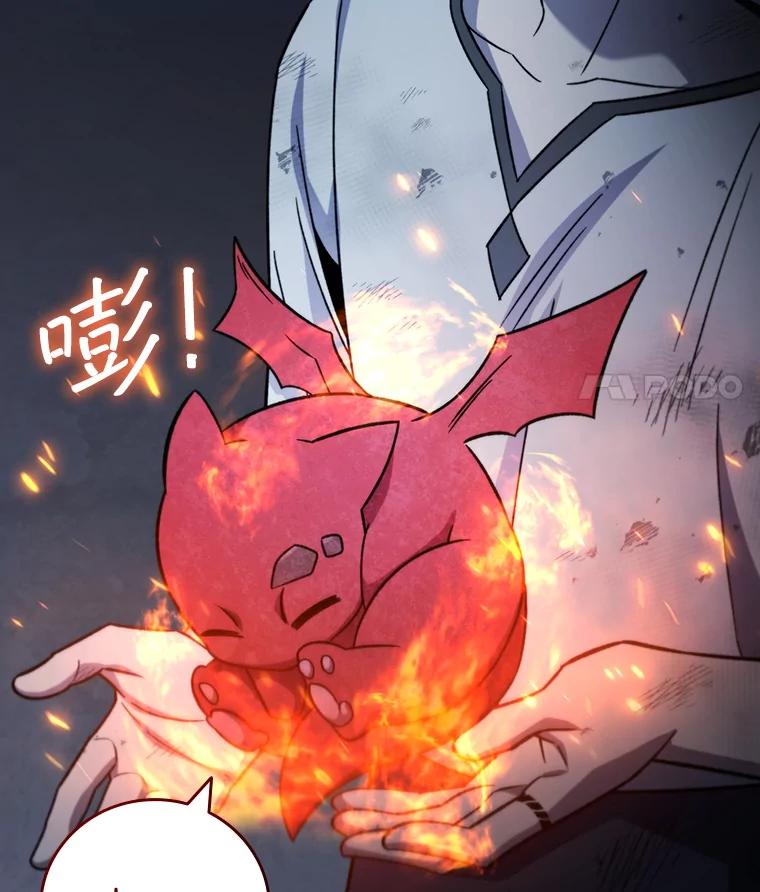 《噬龙魔法师》27.重生的原因 第46页