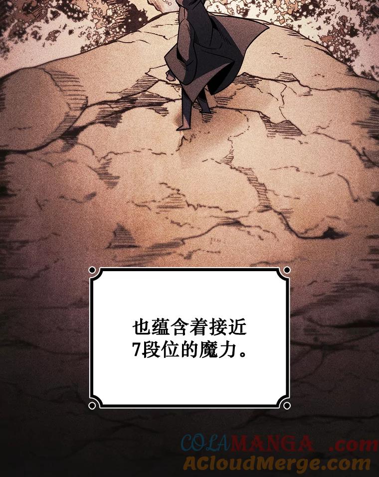 《噬龙魔法师》28.打赌 第117页