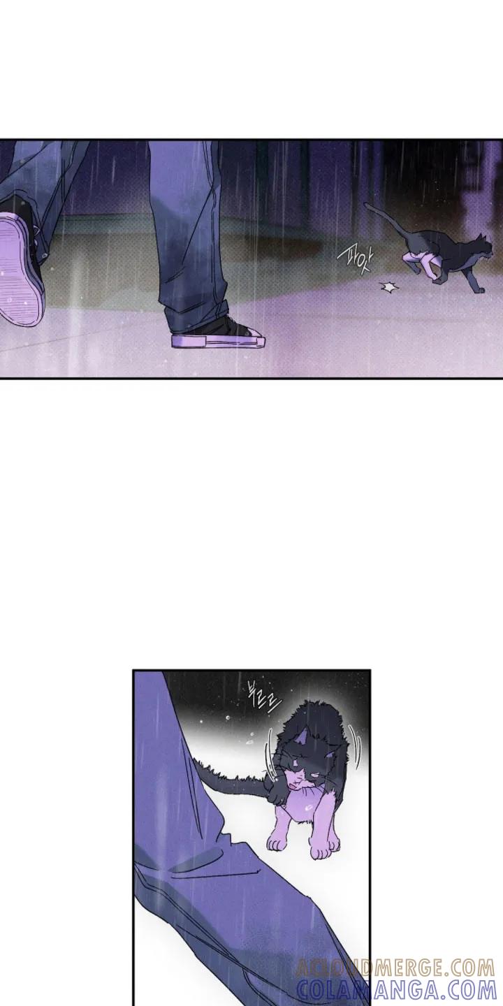 《狂沙肆虐》第143章：【第二季】对不起 第21页