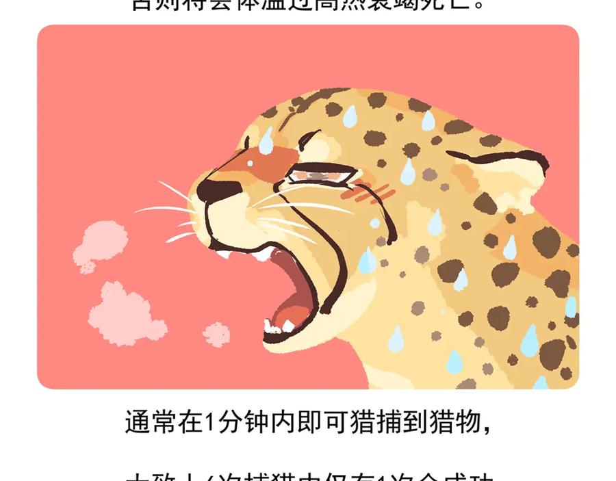 《胖达x胖达》第9话 第22页