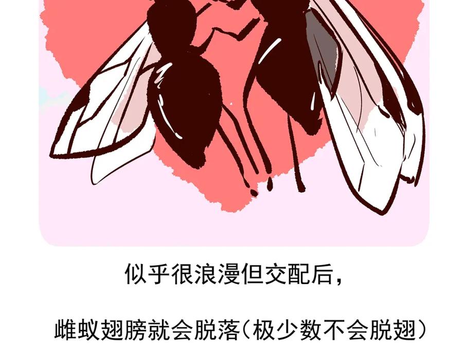 《胖达x胖达》第11话 第22页