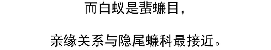 《胖达x胖达》第11话 第28页