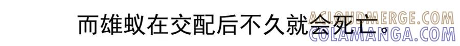《胖达x胖达》第11话 第23页