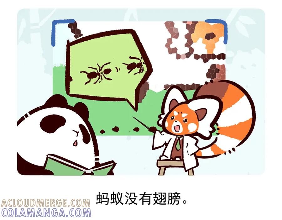 《胖达x胖达》第11话 第19页