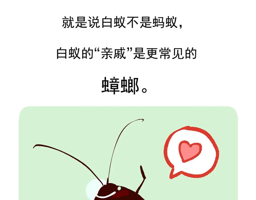 《胖达x胖达》第11话 第30页