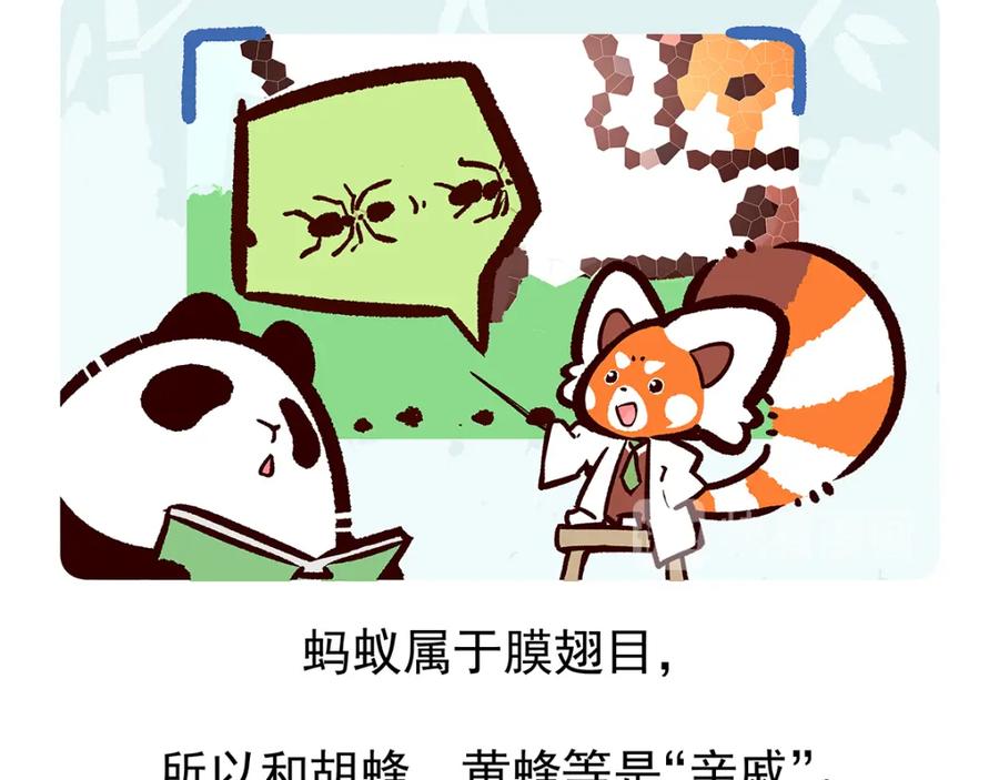 《胖达x胖达》第11话 第26页