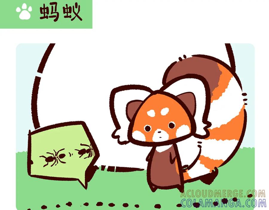 《胖达x胖达》第11话 第7页