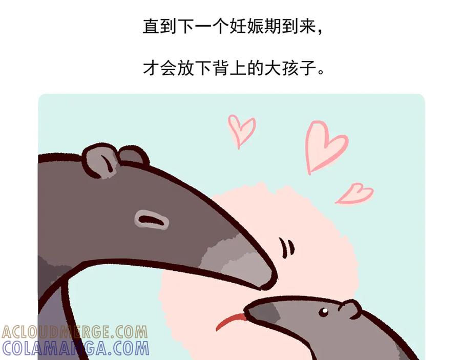 《胖达x胖达》第12话 第27页