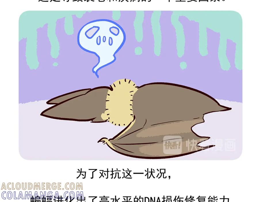 《胖达x胖达》第13话 第31页