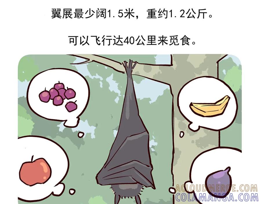 《胖达x胖达》第14话 第25页