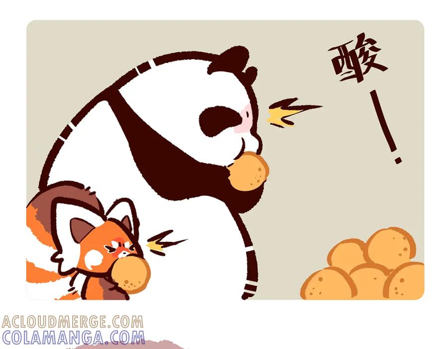 《胖达x胖达》第16话 第5页