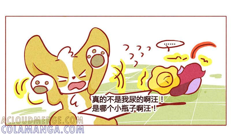 《妹妹？女儿？吸血鬼？》禾苗是我的了 第5页