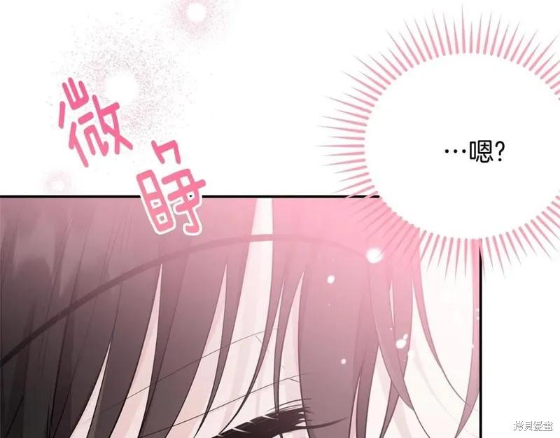 《明明是冷美人小姐却变成了忠犬大少爷》第78话 第11页