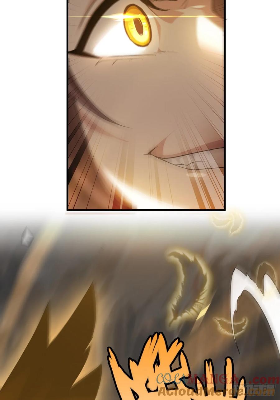 64.jpg