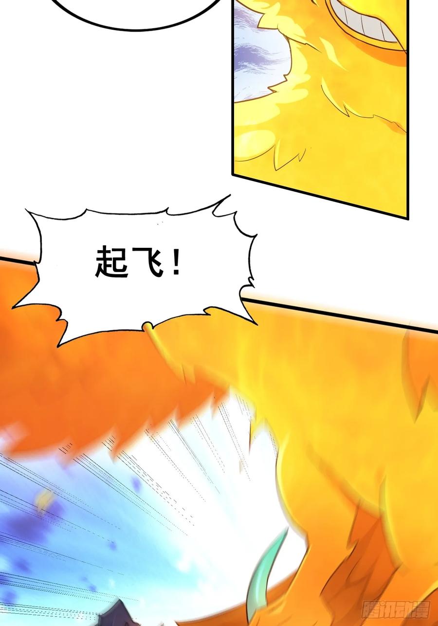 41.jpg