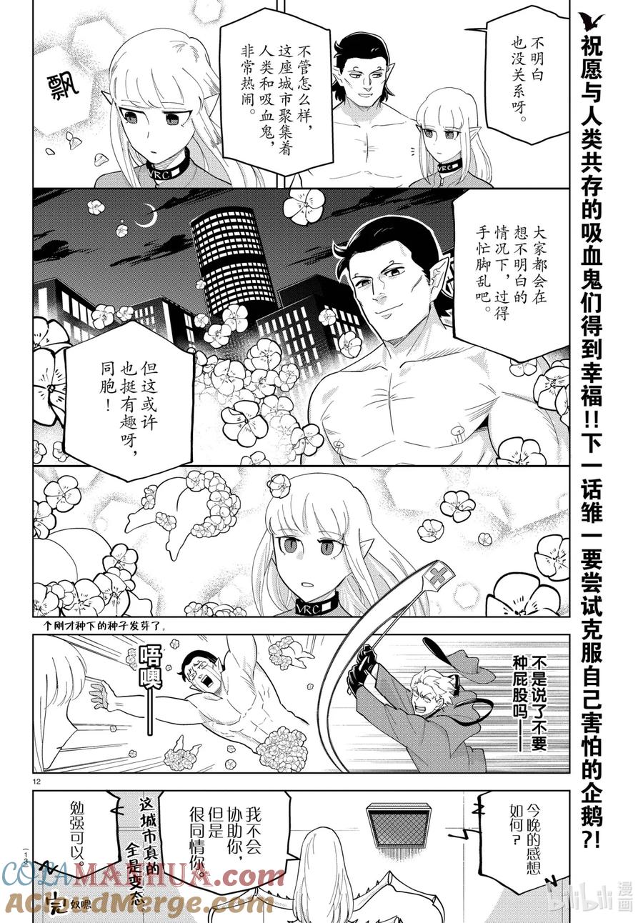 吸血鬼马上死 241 蜘蛛啊花啊永夜之城啊 第13页