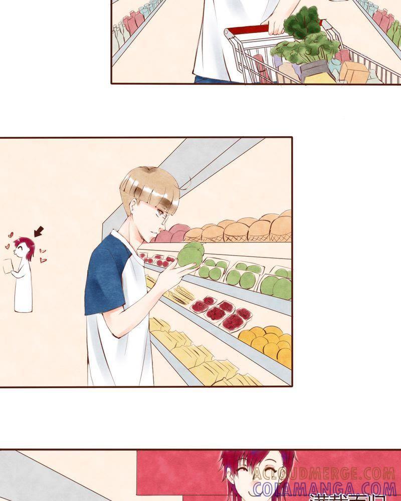 《吸血鬼同居中》8 第13页