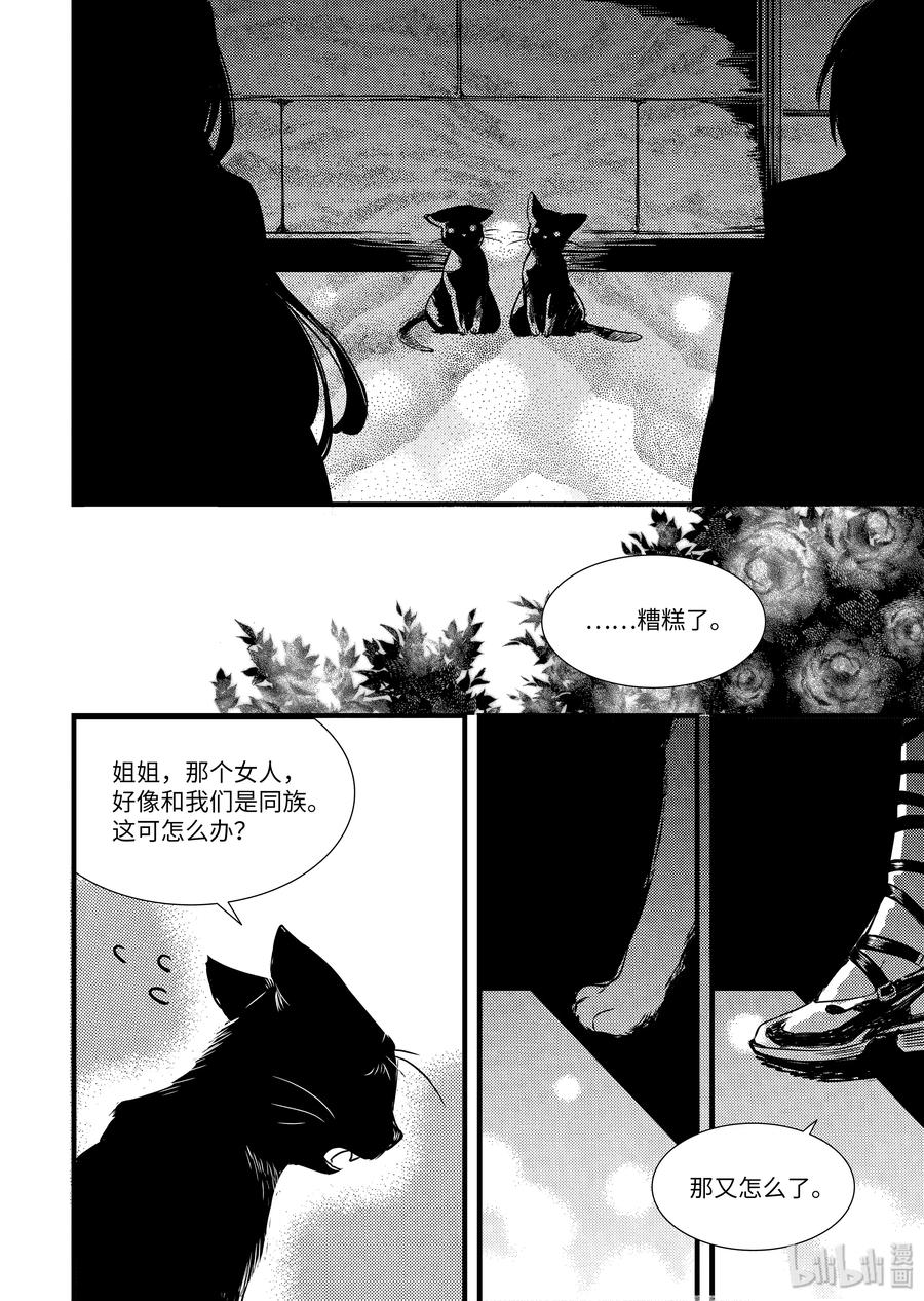 吸血鬼图书馆 47 可爱的猫咪 第20页