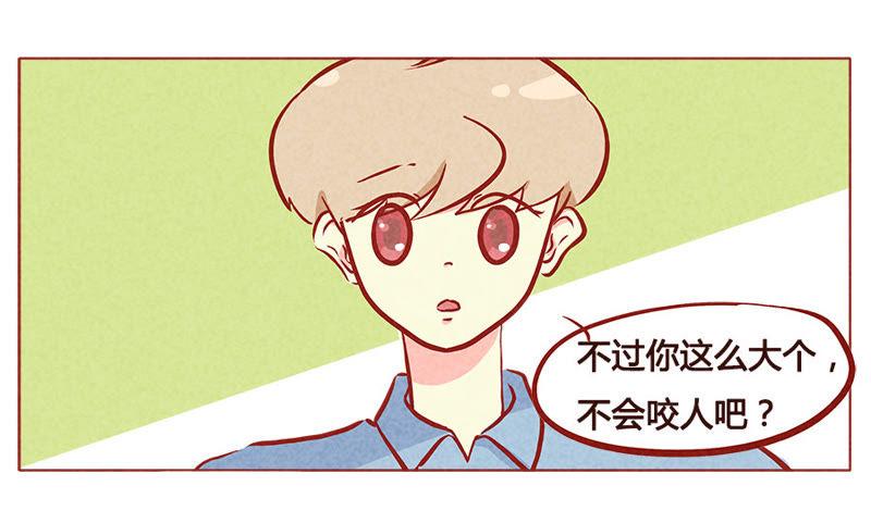 《妹妹？女儿？吸血鬼？》第一百章 第14页