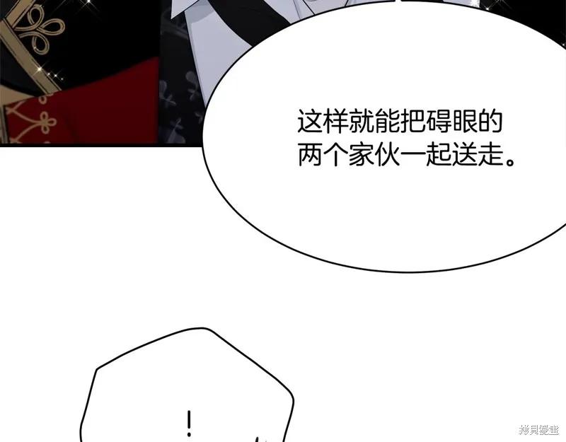 《明明是冷美人小姐却变成了忠犬大少爷》第73话 第12页