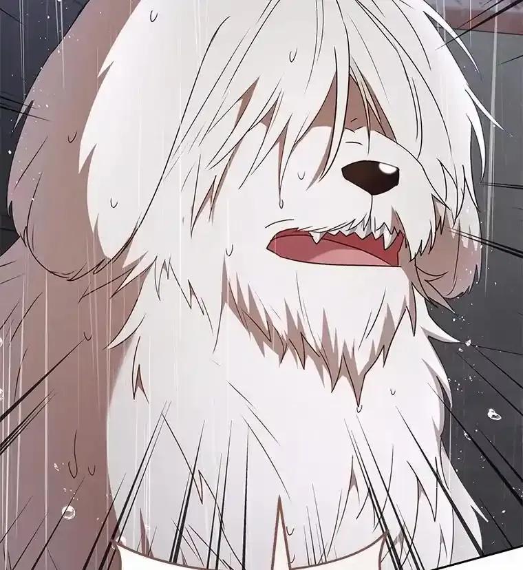 《你好？兽医先生！》58.小古历险记（2） 第127页