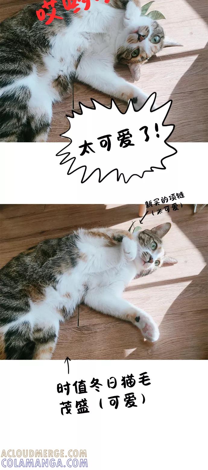 《非幸运公寓》特别篇 第23页