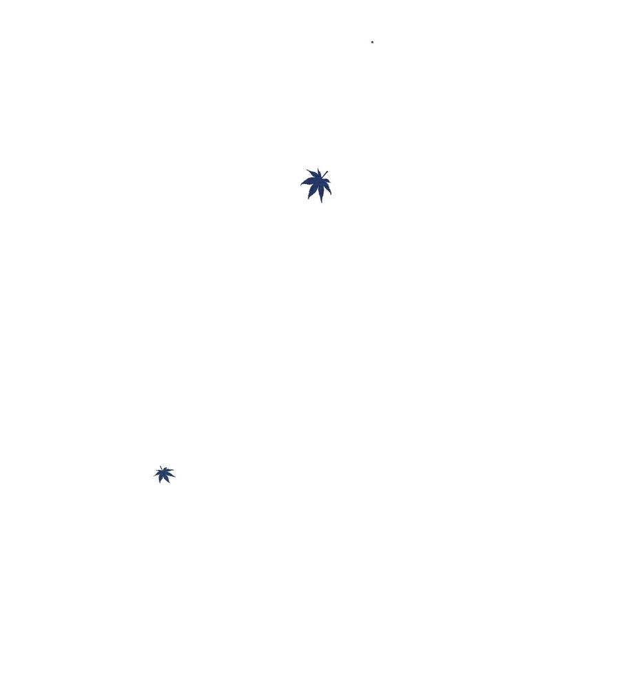 41.jpg