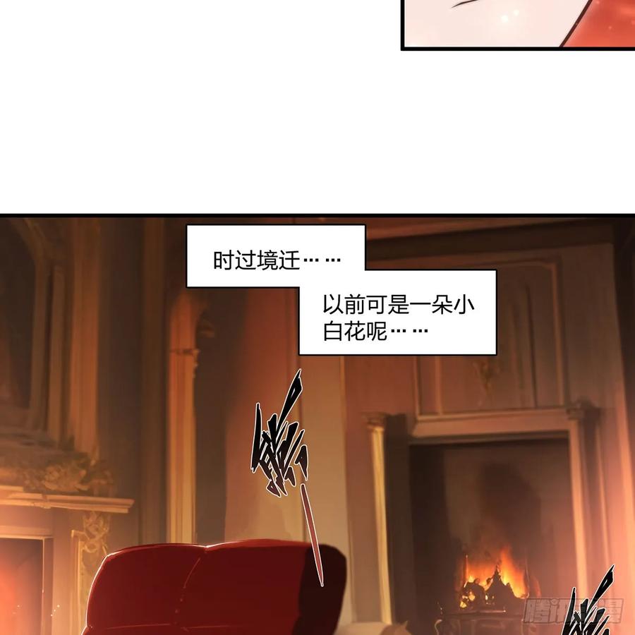 47.jpg