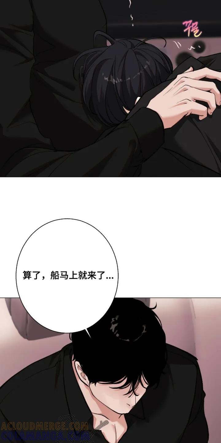 《海岛人生》第96章：【第二季】转移话题 第11页
