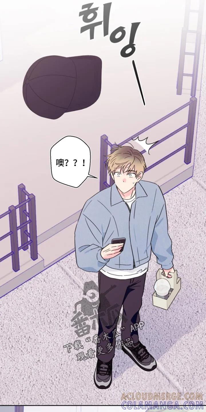 《倒霉经纪人》第99章：【第二季】太眼熟了 第15页