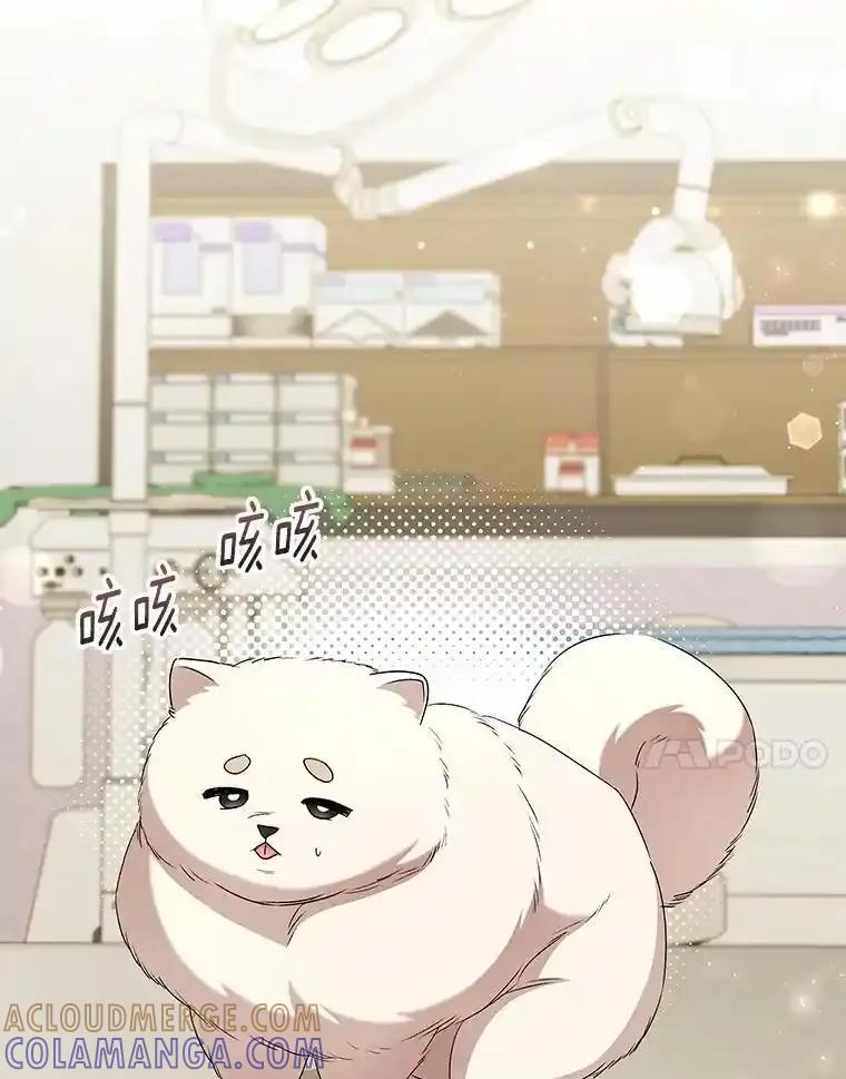 《你好？兽医先生！》63.他是骗子_ 第61页