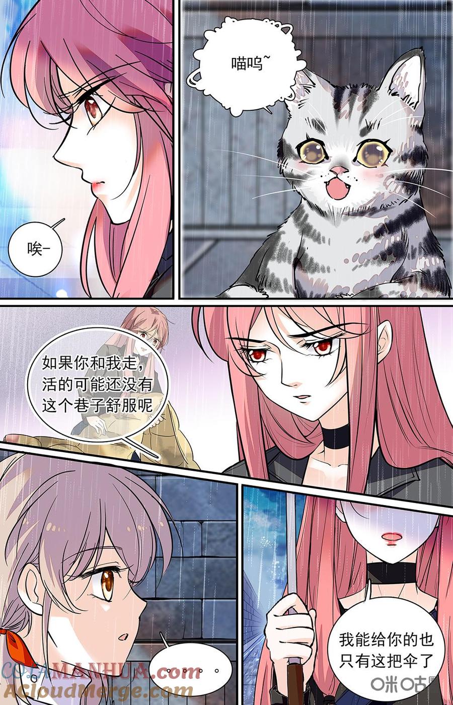 《青柠之夏》第二部 179下：流浪的猫 第3页